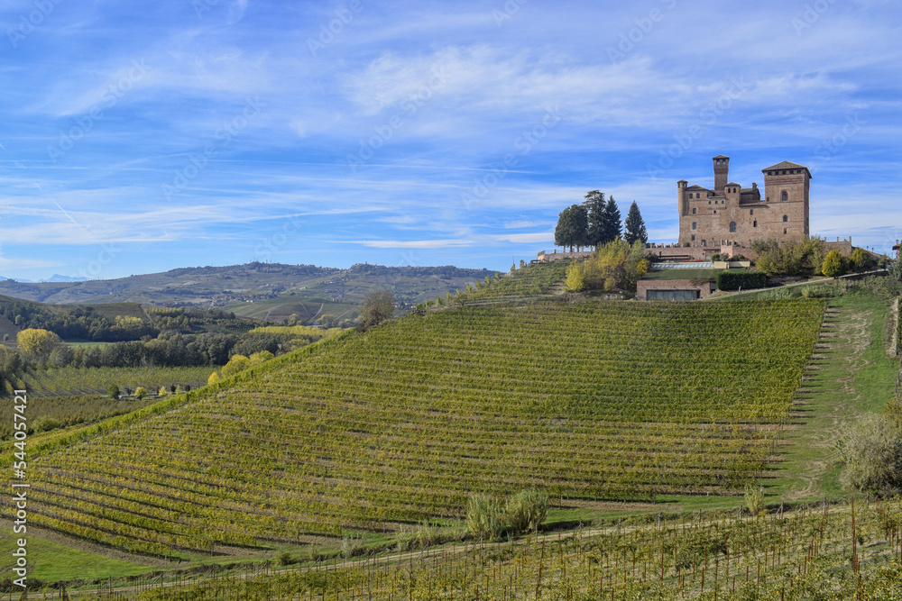 The castle of Grinzane Cavour surrounded by vineyards