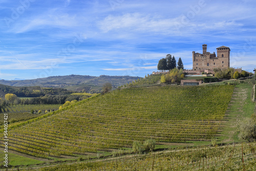 The castle of Grinzane Cavour surrounded by vineyards