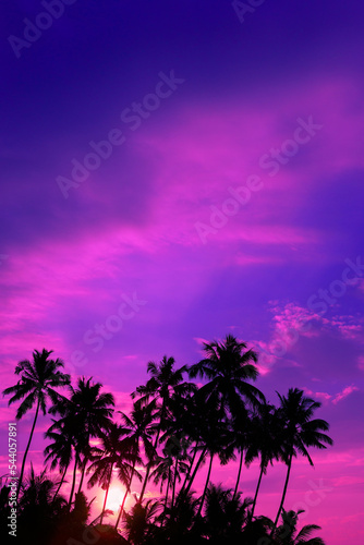 Vivid pink sunset on tropical beach with coconut palm trees silhouettes