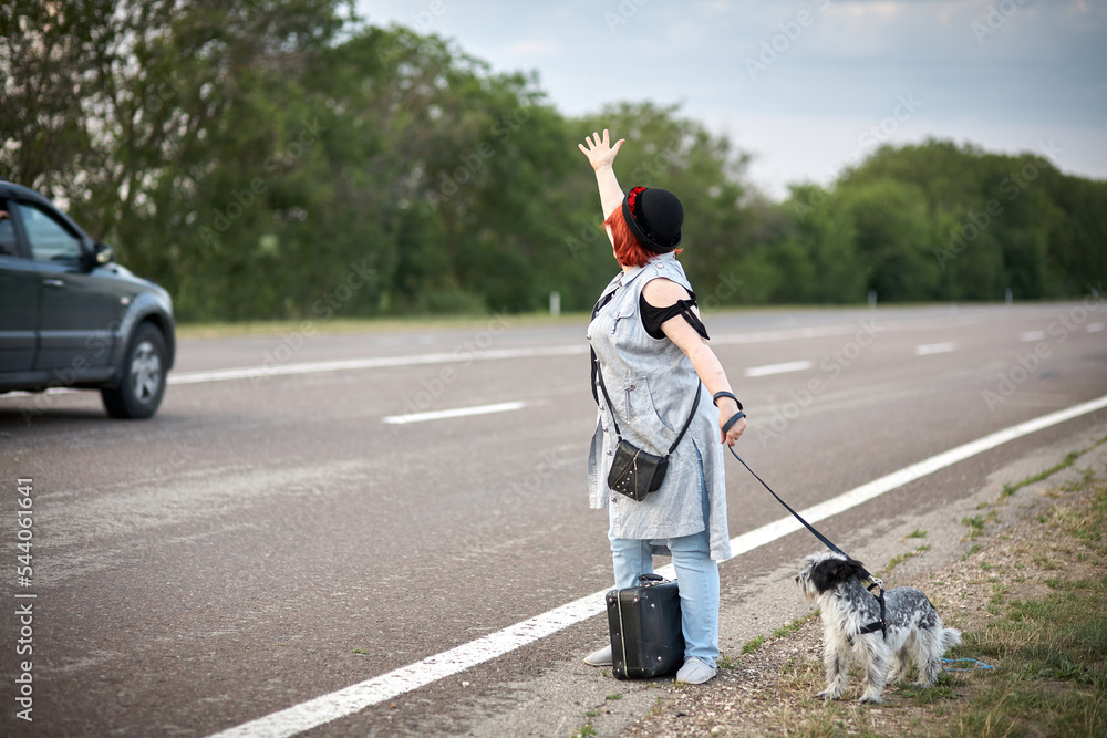 Obraz premium Womenon the road with dog stoped auto