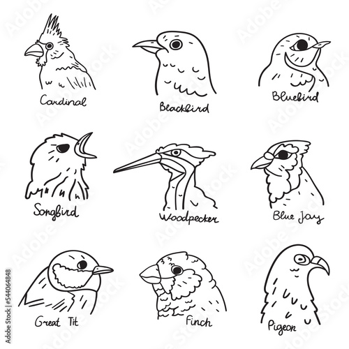 Bird heads. Vector outline illustrations on white background.