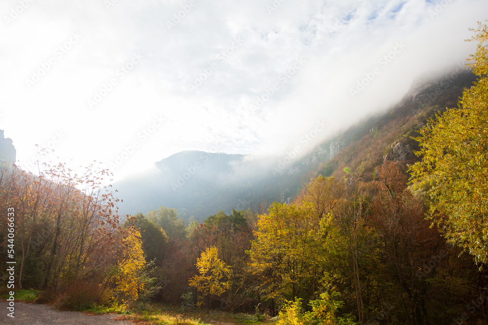 Amazing view of misty mountain peaks in autumn season in the morning. Beautiful nature, fall foggy landscape. Amazing view of misty mountain peaks in autumn season in the morning. Beautiful nature, fall foggy landscape.