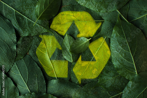 Recycling sign highlighted in bright light on green leaves with dewdrops