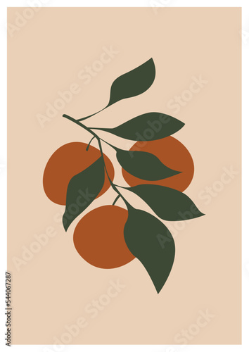 Modern abstract poster witn orange twig. Boho print. Contemporary art. Mid century poster