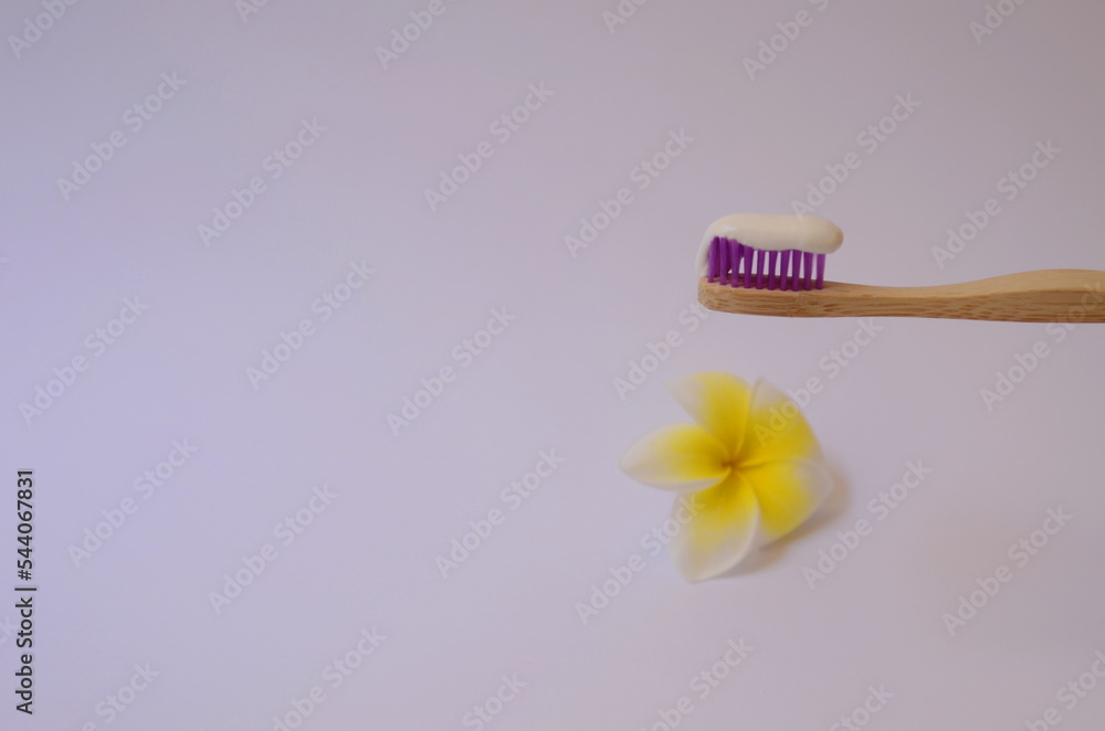 Wooden toothbrush with white toothpaste. In the background is a plumeria flower. Concept: environmental friendliness, tenderness, naturalness, feminine Copy Space Wooden toothbrush with white toothpaste. In the background is a plumeria flower. Concept: environmental friendliness, tenderness, naturalness, feminine Copy Space
