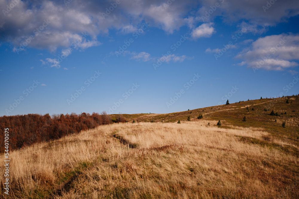 Bieszczady jesienią - obrazy, fototapety, plakaty 