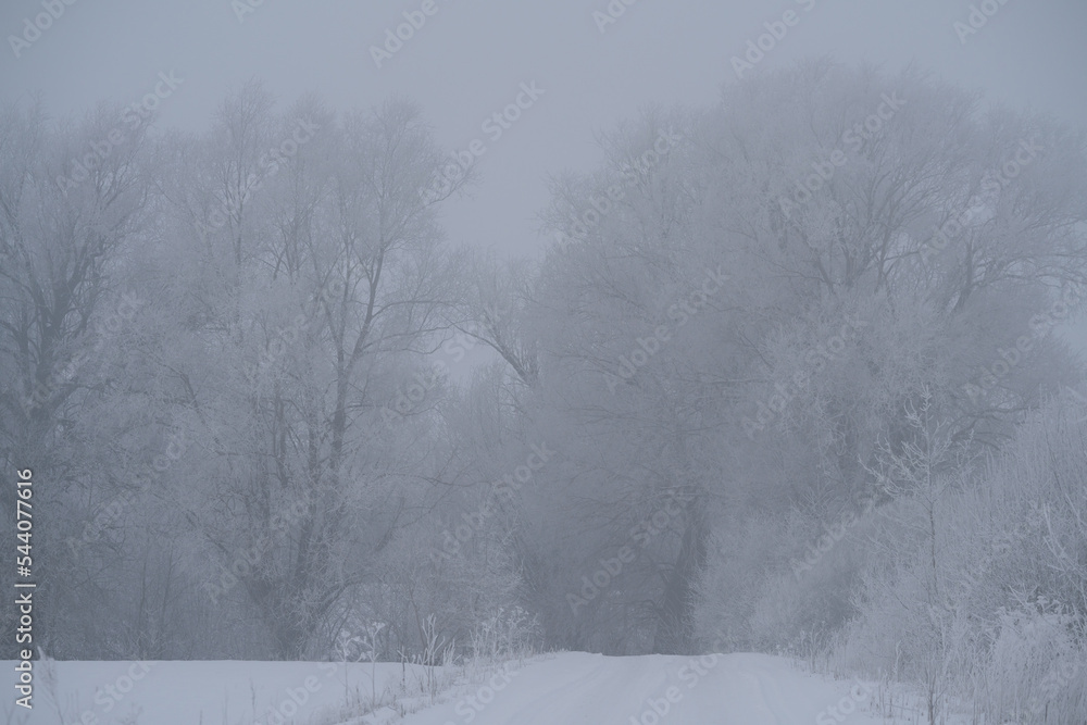 Naklejka premium winter cold blizzard