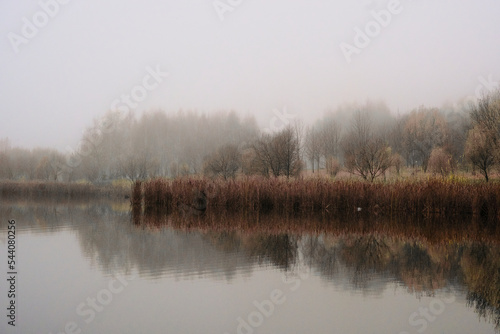 Autumn landscape. Beautiful lake in the fog.