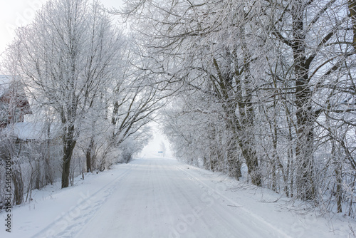 road in winter © Latvianphotographer