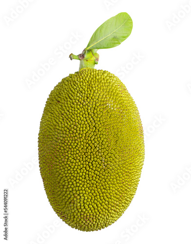 Tableau sur toile jack fruits isolated