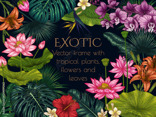 Vector frame with tropical plants. Graphic linear colored tropical flowers and leaves. Monstera, lotus, plumeria, orchid, palm and banana leaves, hibiscus, aralia, tiger lily, strelitzia