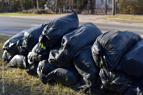 Black garbage bags near the road