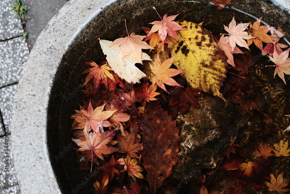 アートポスター：９８流れと手水鉢（ちょうずばち）のある庭園 手水鉢（ちょうずばち）」の写真素材 | 40件の無料イラスト画像