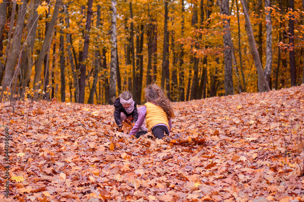 Fototapeta premium Full of joy and fun photo of children (girls) playing with leaves in an autumn forest. Shallow depth of field.