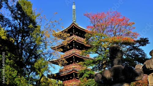 上野東照宮，神社，金色殿，江戸初期の建築， 重要文化財，, 木, 木製の, 古い, 建築, 風景, 日本 photo