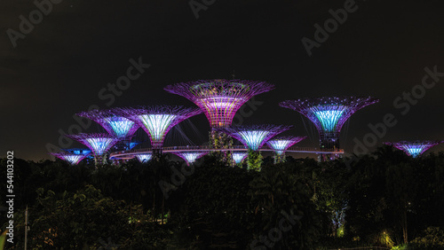 Gardens by the bay supertree light show