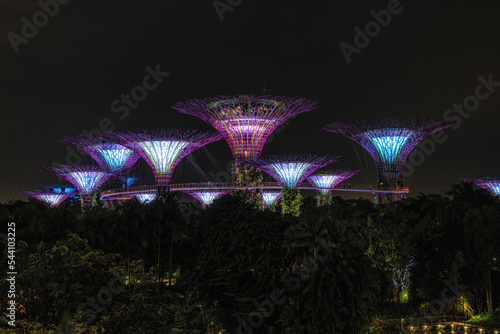 Gardens by the bay supertree light show