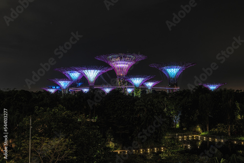 Gardens by the bay supertree light show photo