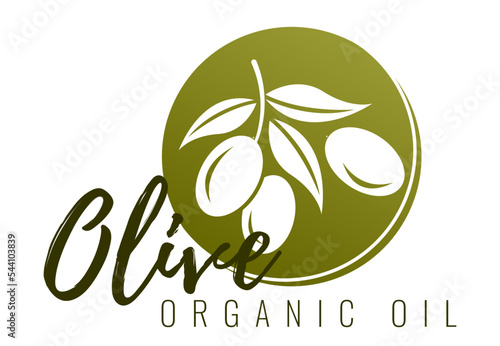 extra virgin olive oil icon vector illustration. Elegant Logo template with olive branch - simple linear style	
