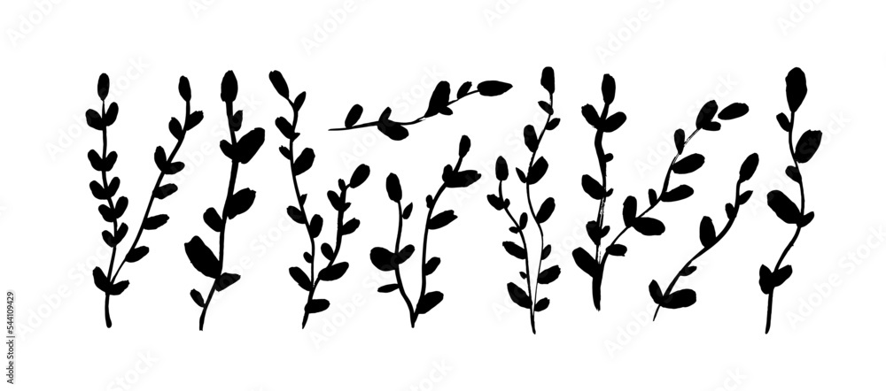 Thin long vertical branches with small leaves isolated on white background. Brush drawn ivy branches. Vector hand drawn illustration in simple doodle cartoon style. Silhouettes of small twigs. Thin long vertical branches with small leaves isolated on white background. Brush drawn ivy branches. Vector hand drawn illustration in simple doodle cartoon style. Silhouettes of small twigs.