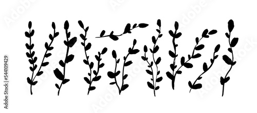 Thin long vertical branches with small leaves isolated on white background. Brush drawn ivy branches. Vector hand drawn illustration in simple doodle cartoon style. Silhouettes of small twigs.