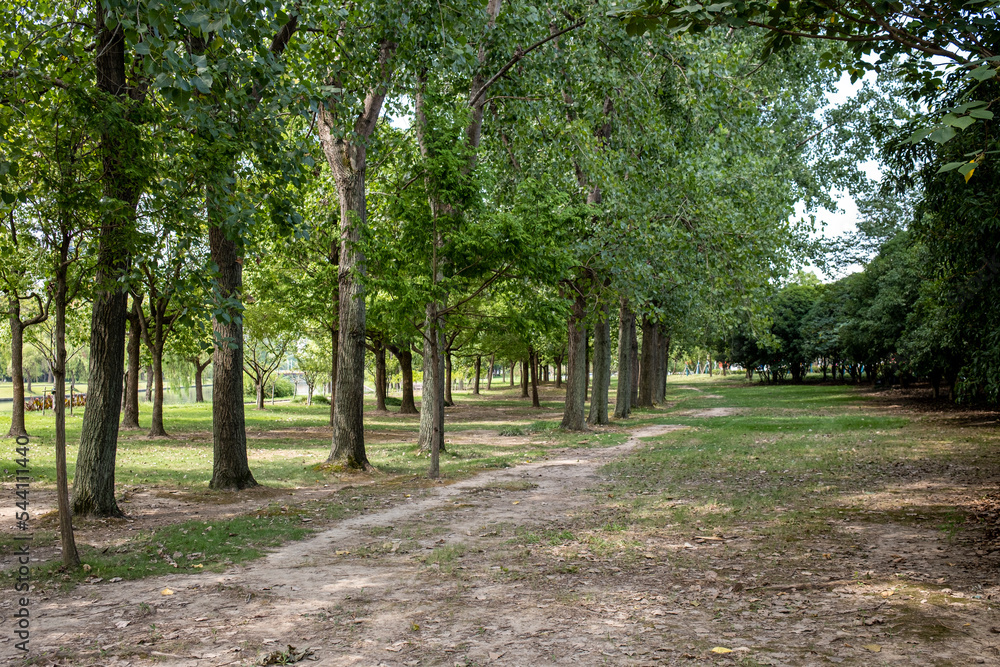 path in the park