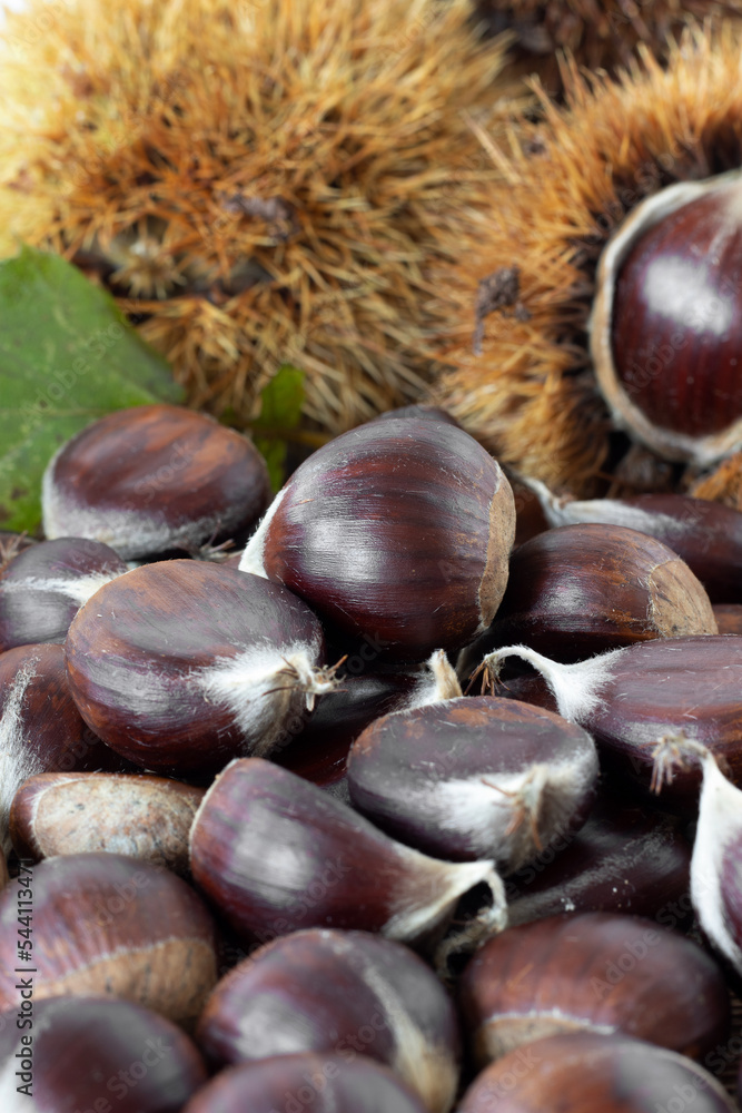 Sweet chestnuts spilled on a table. Vertical shot. Selective focus. A close-up. Natural autumn fruit on the market. Sweet chestnuts spilled on a table. Vertical shot. Selective focus. A close-up. Natural autumn fruit on the market.
