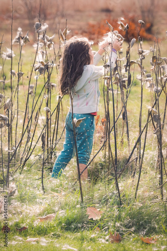 Innocence-2