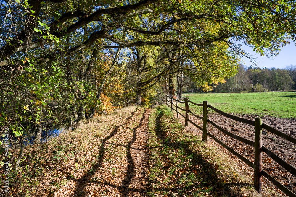 Wanderweg Ilmenauufer Medingen Herbst Wanderweg Ilmenauufer Medingen Herbst