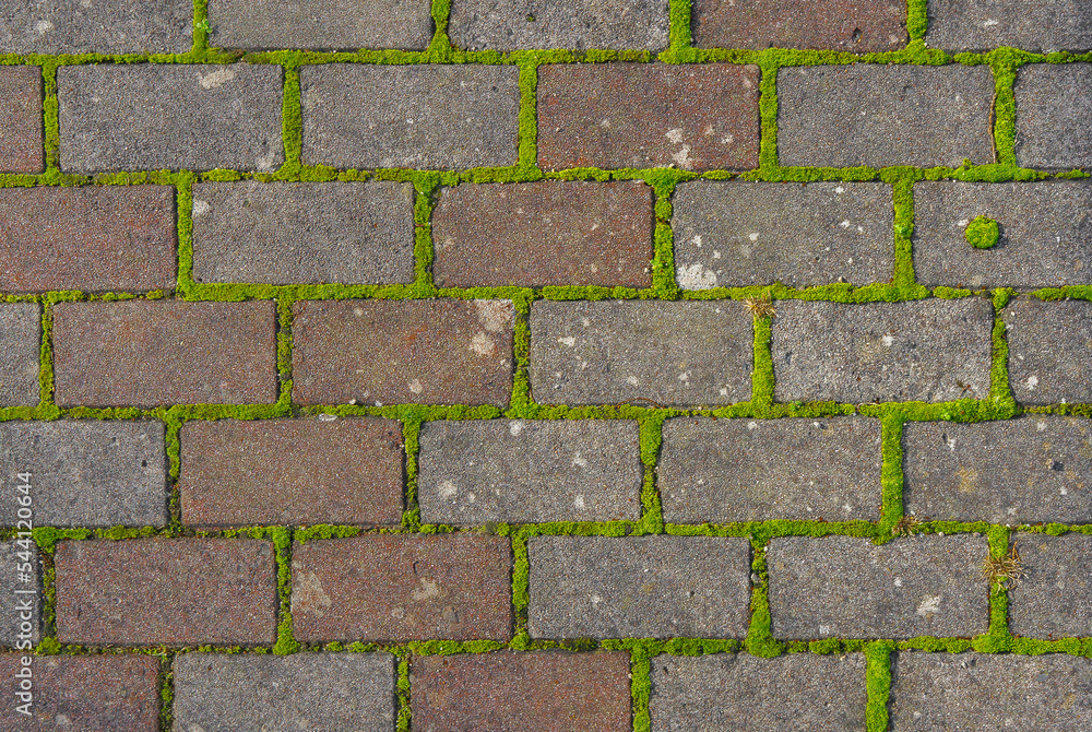 Obraz premium Brick structure with green moss....