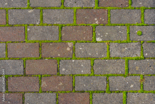 Brick structure with green moss....