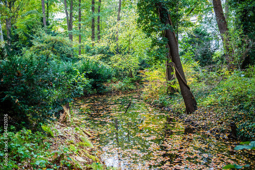 Canvas Print Tiergartens, Berlin, walk at the end of the summer