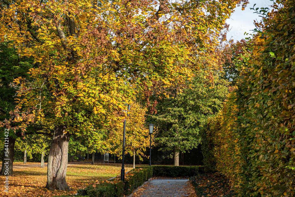 Naklejka premium Tiergartens, Berlin, walk at the end of the summer