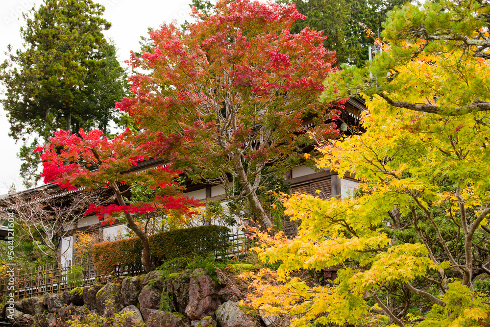 高野山の秋風景