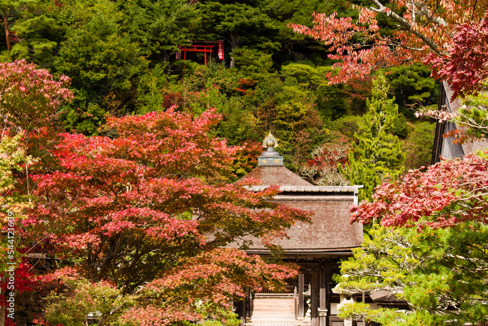 高野山の秋風景