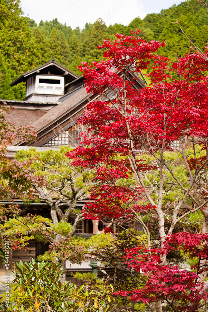 高野山の秋風景