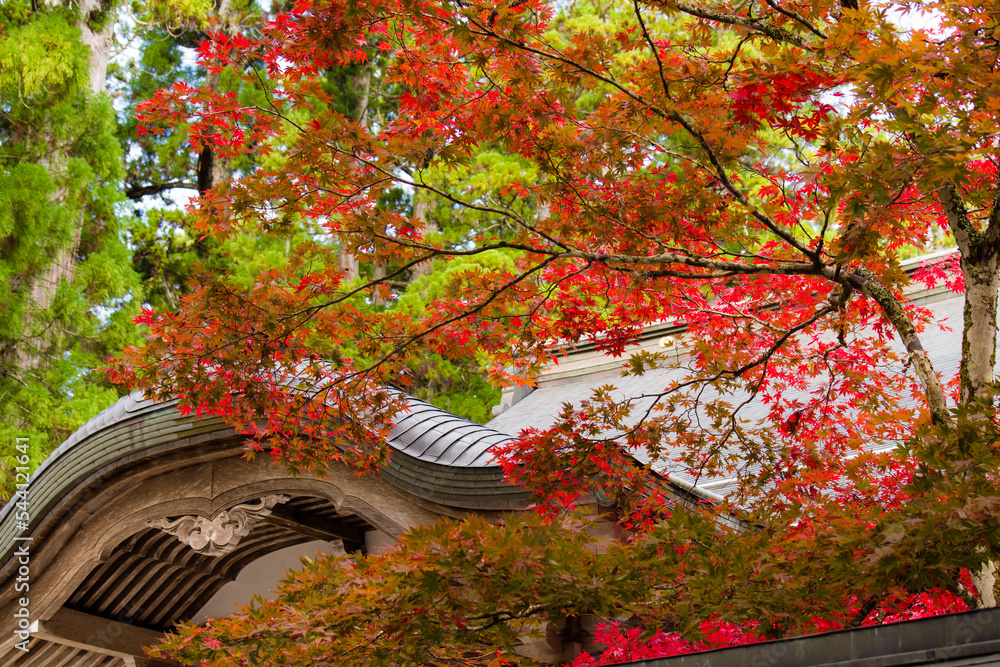 高野山の秋風景