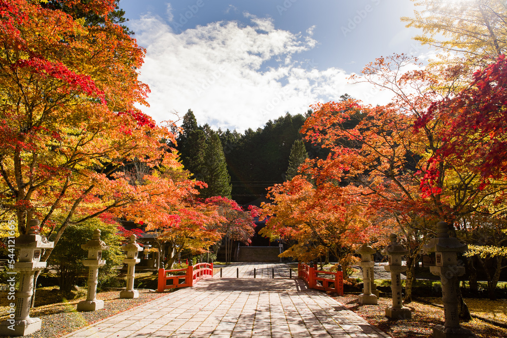高野山の秋風景
