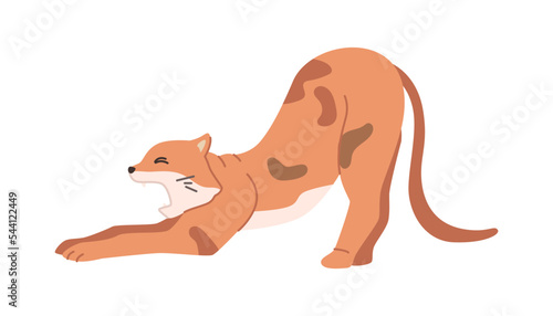 Cat stretching and yawning, isolated kitten with closed eyes awake from sleep. Feline animal, mammal with long tail and whiskers. Vector in flat style