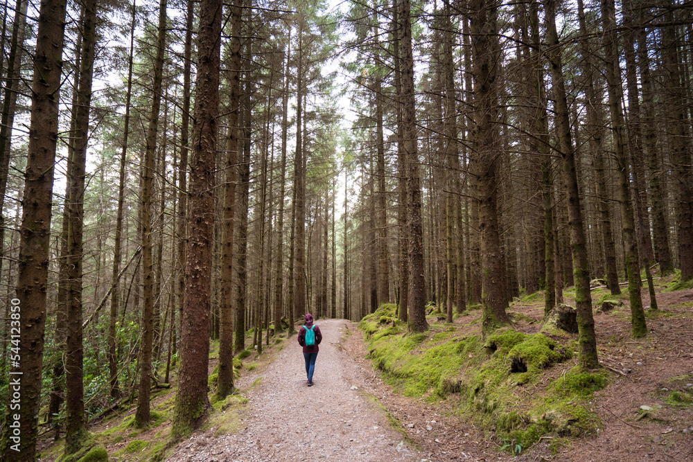 Unrecognizable person traveler hiking in forest Unrecognizable person traveler hiking in forest