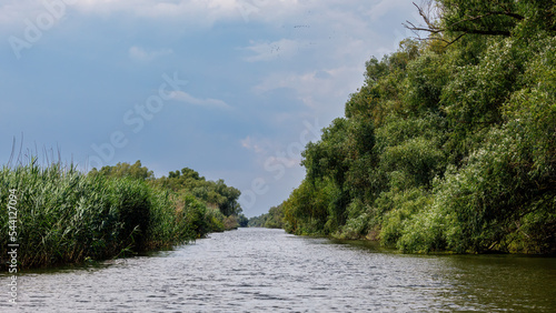 The swamps and wilderness of the Danube Delta in Romania  