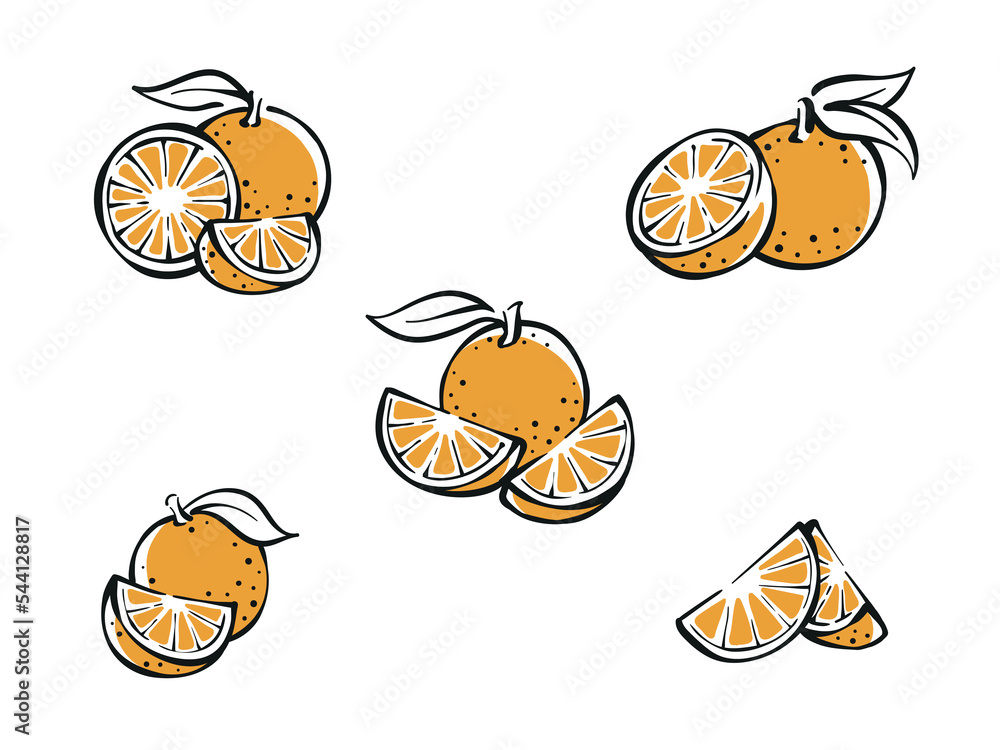 Simple colored oranges slices drawing set illustration vector design
