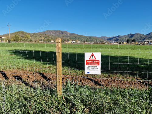 wild boar disease fence swine fever in italy photo