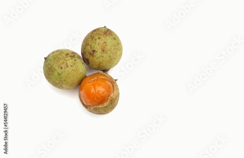 Closeup of Schleichera Oleosa or Kusum Fruit Isolated on White Background with Copy Space photo