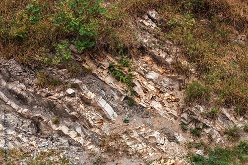 Wallpaper Mural Textured background of a mountain rock on an autumn day. The natural texture of a mountain cliff with cracks and vegetation. Abstract background image of the rocky mountains. Mountain slopes close-up. Torontodigital.ca