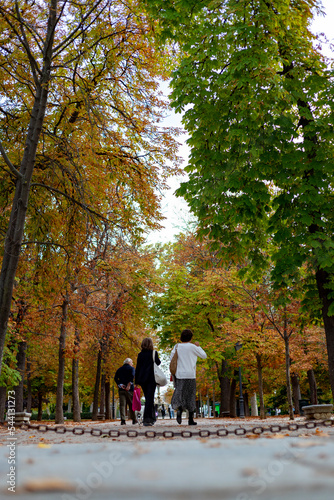 Fall. Autumn path in the Parque del Retiro in the city of Madrid with the leaves of the trees in autumn colors on the branches and on the ground. In Spain. Photography. Autumn time.