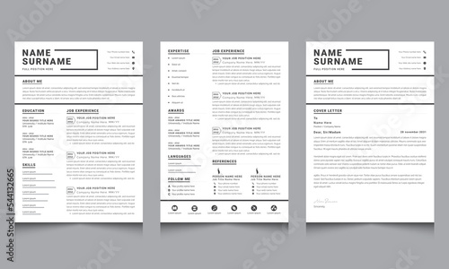 Clean Resume Layout and Professional Resume CV Templates Design
