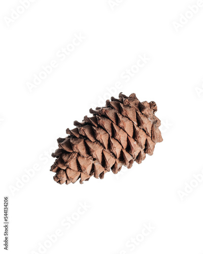 Pine cone nut in skin on isolated background