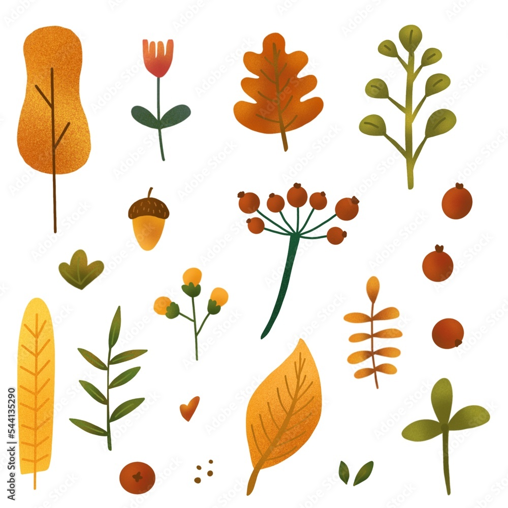 Autumn leaf, flower and berry set. Thanksgiving day design. Harvest party invitation. Fall maple composition background. October foliage card. Oak leaves decor poster. Orange plant illustration Autumn leaf, flower and berry set. Thanksgiving day design. Harvest party invitation. Fall maple composition background. October foliage card. Oak leaves decor poster. Orange plant illustration
