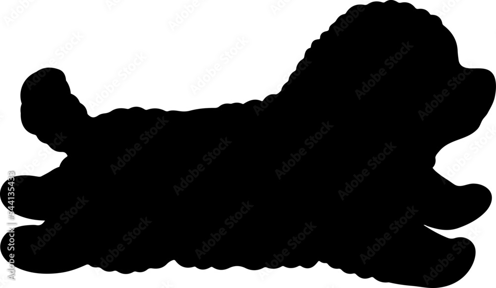 Silhouette of Chihuahua Poodle Mix Puppy running Silhouette of Chihuahua Poodle Mix Puppy running
